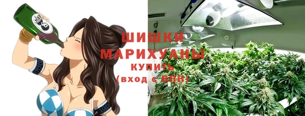 винт Бородино