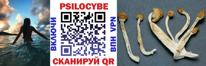блэк спрут вход  где найти   Трёхгорный  Псилоцибиновые грибы мицелий 